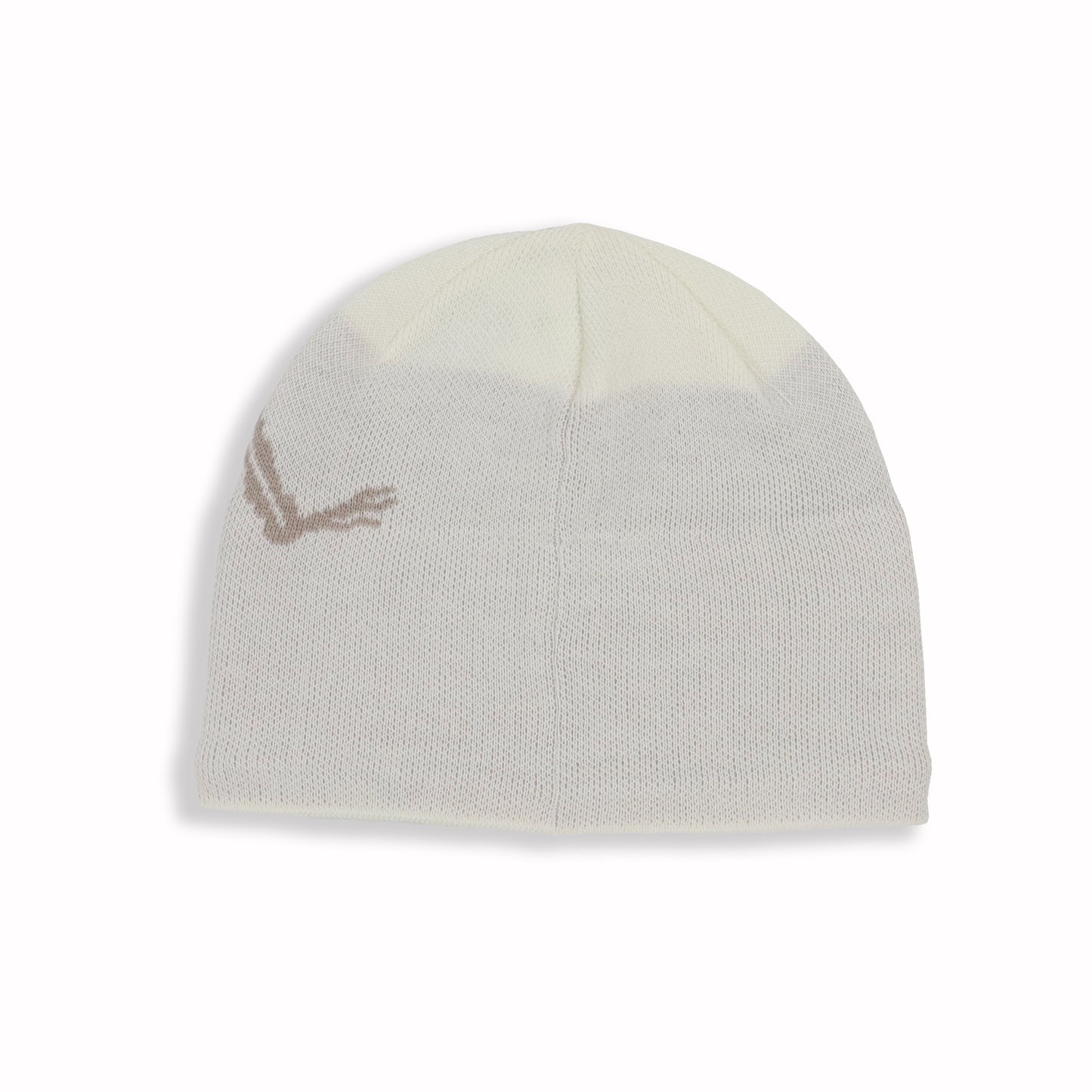 【Arc'teryx】Bird Head Toque