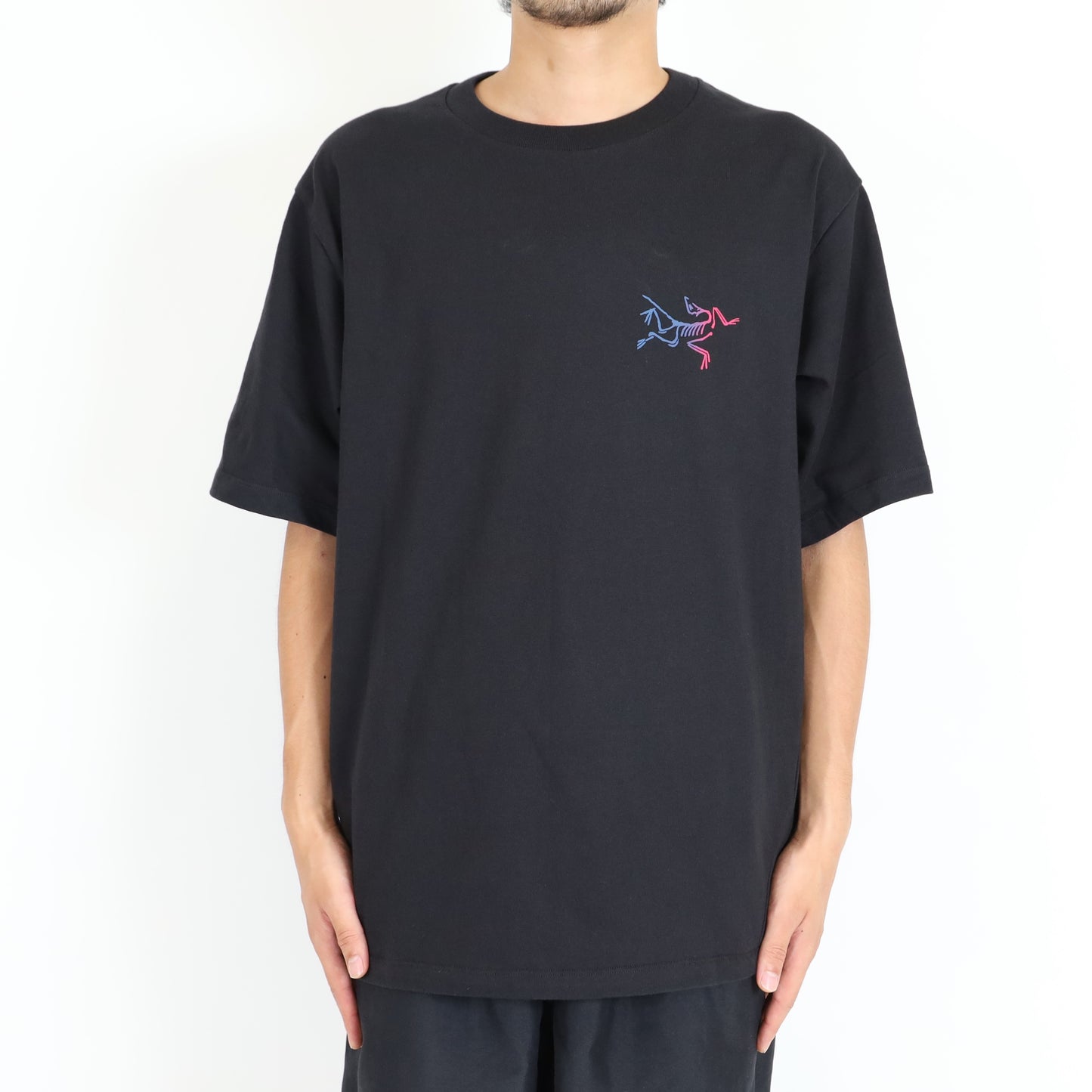 【Arc'teryx】Kragg Cotton Logo SS Men's