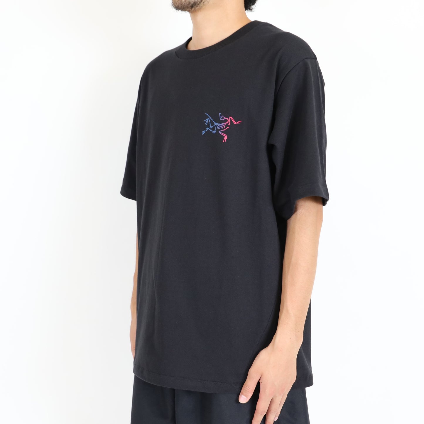 【Arc'teryx】Kragg Cotton Logo SS Men's