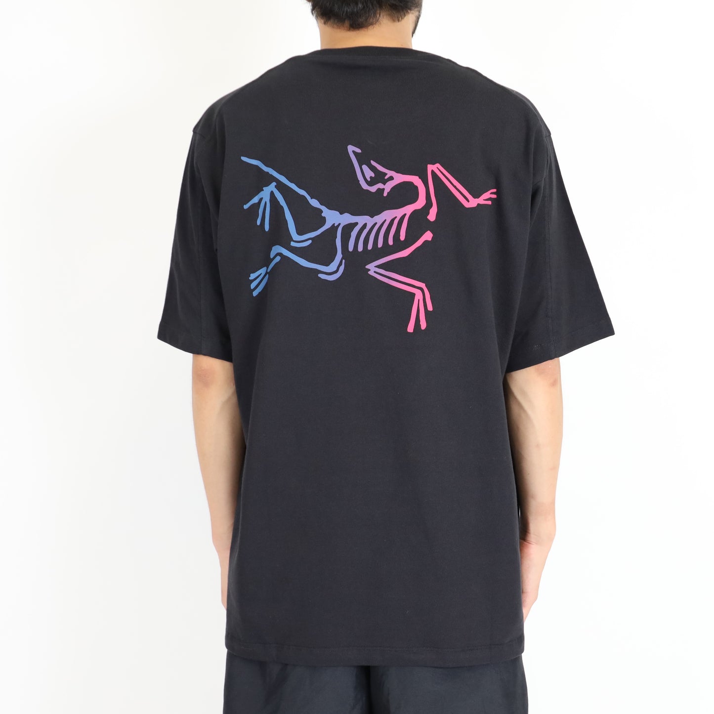 【Arc'teryx】Kragg Cotton Logo SS Men's