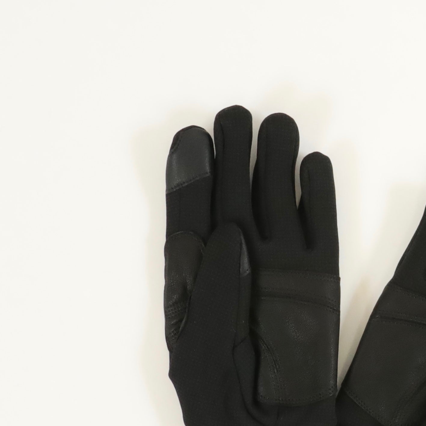 【Arc'teryx】Rivet Glove